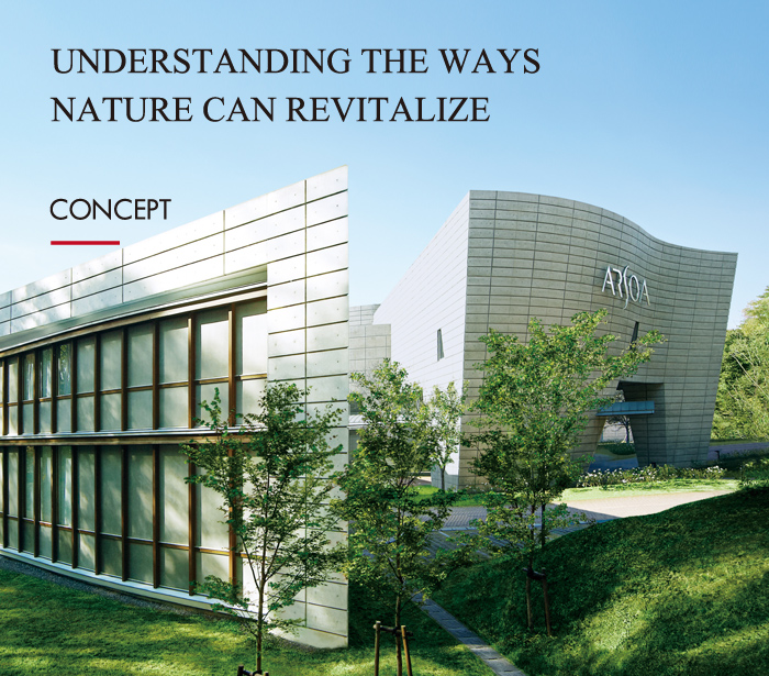 UNDERSTANDING THE WAYS NATURE CAN REVITALIZE