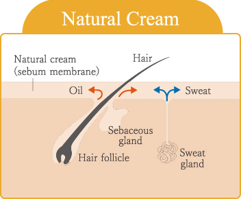 Natural Cream