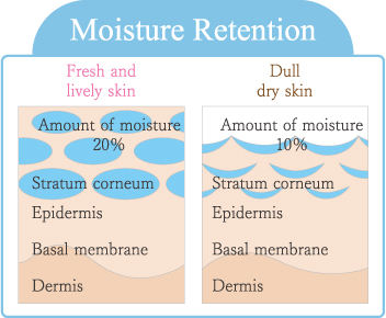 Moisture Retention