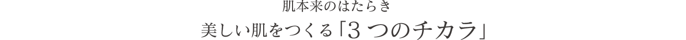 肌本来のはたらき